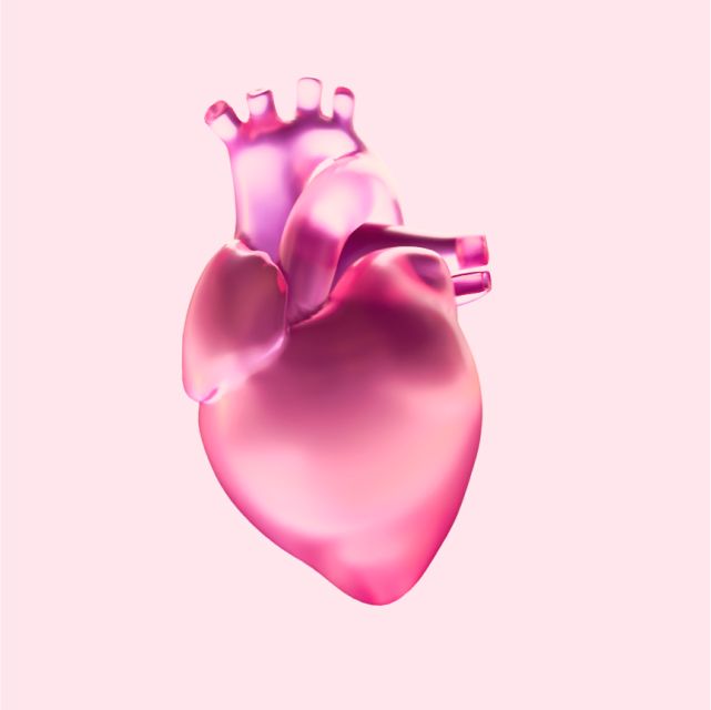 Cardio Adaptability - 2 Years