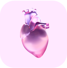 Cardio Adaptability - 1 Year